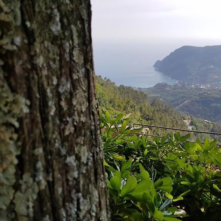 Santuario Ns Soviore Cinque Terre Μοντερόσο αλ Μάρε Εξωτερικό φωτογραφία