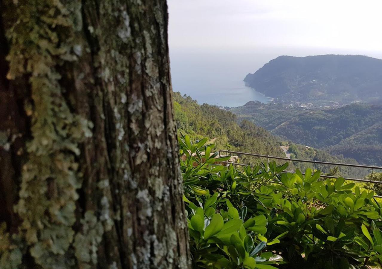 Santuario Ns Soviore Cinque Terre Μοντερόσο αλ Μάρε Εξωτερικό φωτογραφία